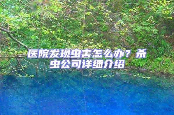 醫院發現蟲害怎么辦?殺蟲公司詳細介紹