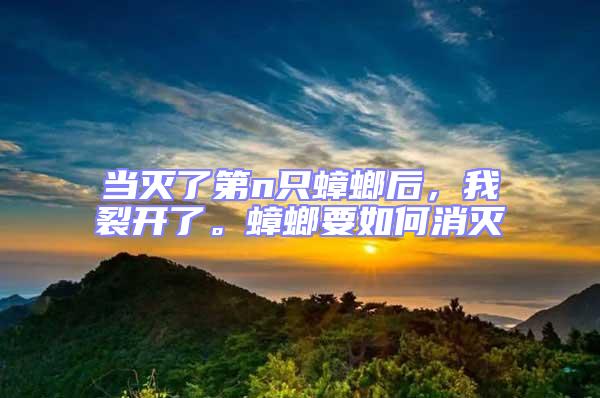 當(dāng)滅了第n只蟑螂后，我裂開了。蟑螂要如何消滅