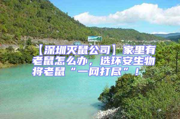 【深圳滅鼠公司】家里有老鼠怎么辦，選環安生物將老鼠“一網打盡”！