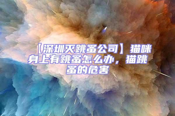【深圳滅跳蚤公司】貓咪身上有跳蚤怎么辦,貓跳蚤的危害