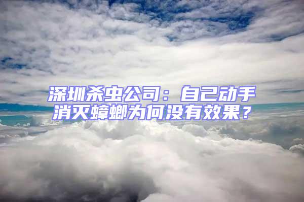 深圳殺蟲公司:自己動手消滅蟑螂為何沒有效果?