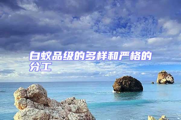 白蟻品級的多樣和嚴(yán)格的分工