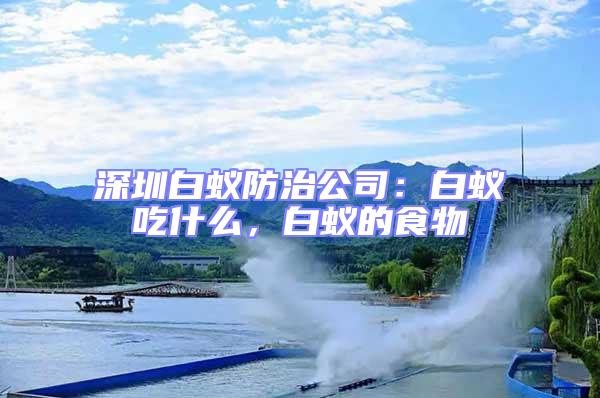 深圳白蟻防治公司：白蟻吃什么，白蟻的食物