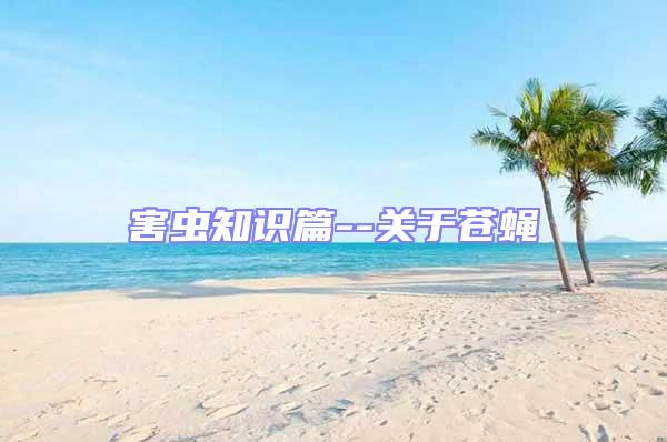 害蟲知識(shí)篇--關(guān)于蒼蠅