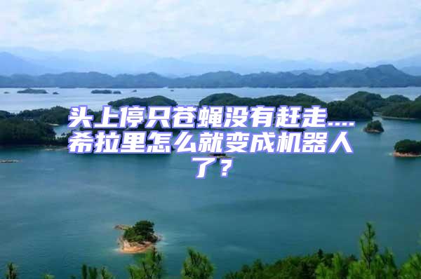頭上停只蒼蠅沒(méi)有趕走....希拉里怎么就變成機(jī)器人了?