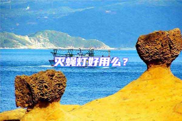 滅蠅燈好用么?