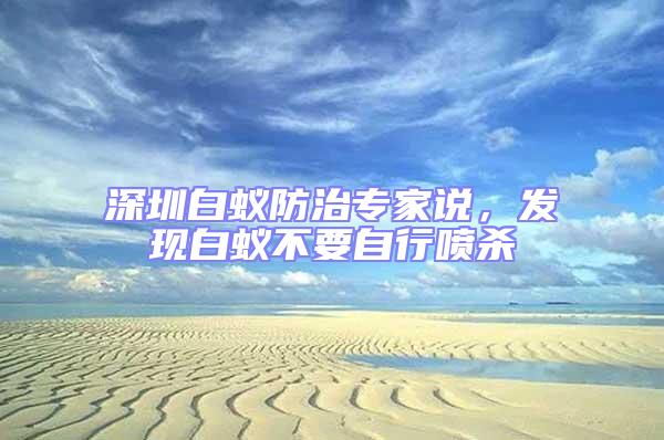 深圳白蟻防治專家說,發現白蟻不要自行噴殺
