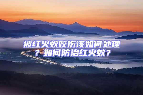 被紅火蟻咬傷該如何處理？如何防治紅火蟻？
