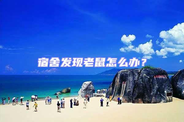 宿舍發現老鼠怎么辦?