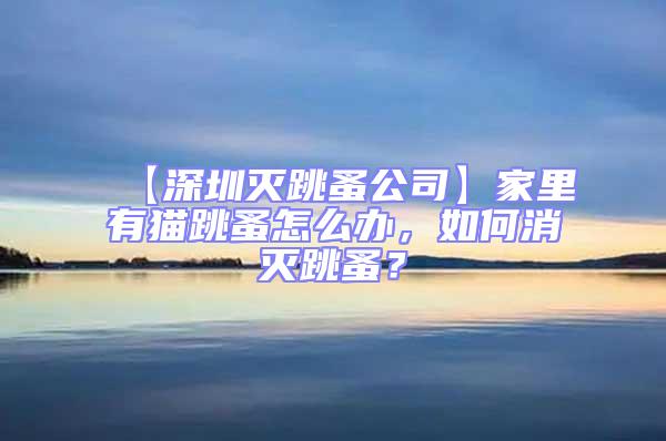 【深圳滅跳蚤公司】家里有貓跳蚤怎么辦，如何消滅跳蚤？