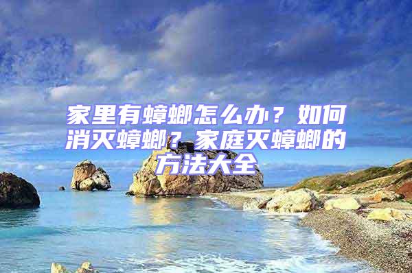 家里有蟑螂怎么辦?如何消滅蟑螂?家庭滅蟑螂的方法大全