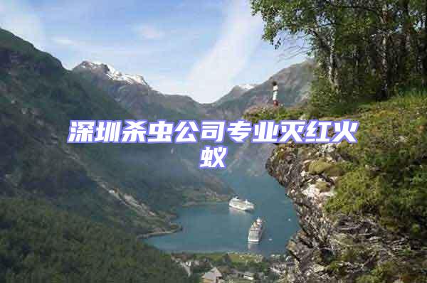 深圳殺蟲公司專業(yè)滅紅火蟻