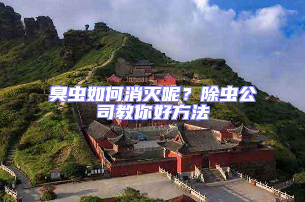 臭蟲如何消滅呢?除蟲公司教你好方法