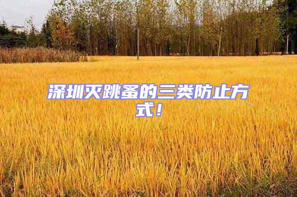深圳滅跳蚤的三類防止方式!