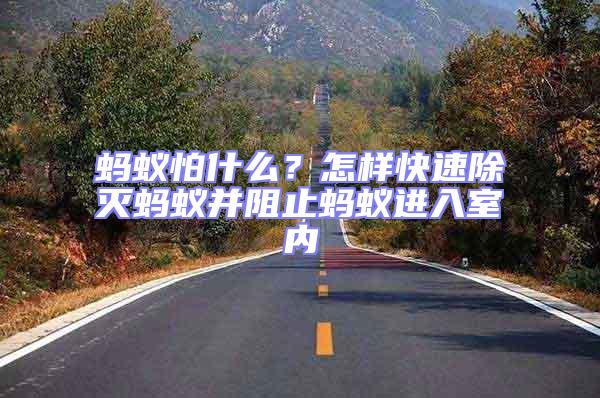 螞蟻怕什么?怎樣快速除滅螞蟻并阻止螞蟻進入室內(nèi)