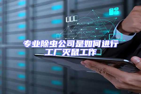 專業(yè)除蟲(chóng)公司是如何進(jìn)行工廠滅鼠工作