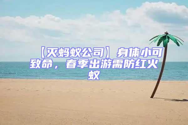 【滅螞蟻公司】身體小可致命,春季出游需防紅火蟻