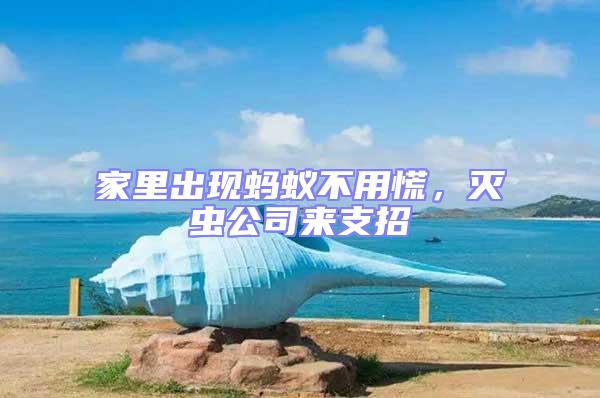 家里出現(xiàn)螞蟻不用慌,滅蟲(chóng)公司來(lái)支招