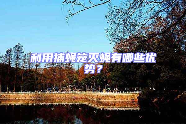 利用捕蠅籠滅蠅有哪些優(yōu)勢(shì)?
