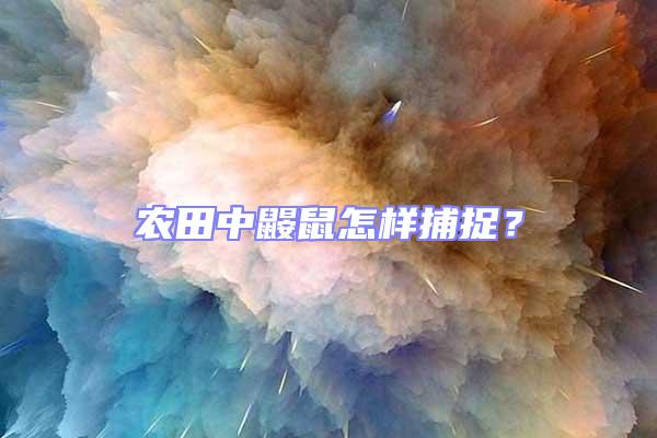 農田中鼴鼠怎樣捕捉?
