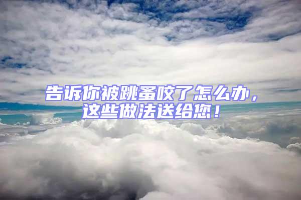 告訴你被跳蚤咬了怎么辦，這些做法送給您！