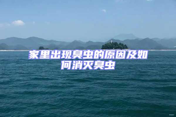 家里出現(xiàn)臭蟲的原因及如何消滅臭蟲