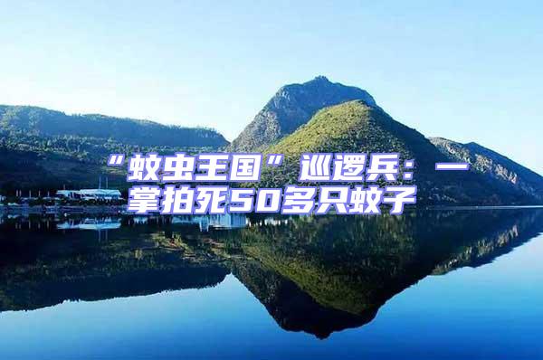 “蚊蟲王國”巡邏兵:一掌拍死50多只蚊子