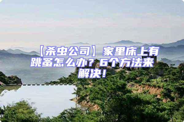 【殺蟲公司】家里床上有跳蚤怎么辦？6個方法來解決！