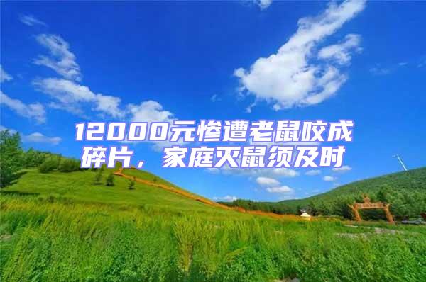12000元慘遭老鼠咬成碎片,家庭滅鼠須及時