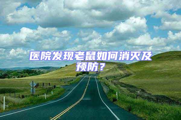 醫院發現老鼠如何消滅及預防?