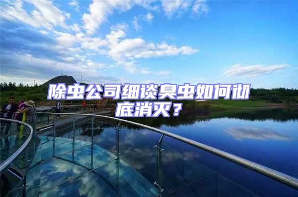 除蟲公司細(xì)談臭蟲如何徹底消滅?