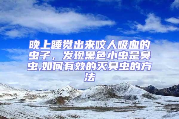 晚上睡覺出來咬人吸血的蟲子，發(fā)現黑色小蟲是臭蟲,如何有效的滅臭蟲的方法