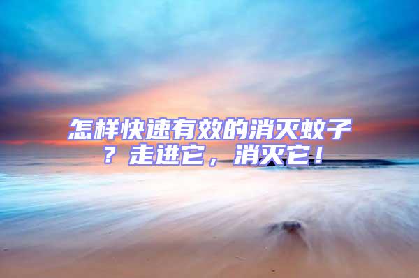 怎樣快速有效的消滅蚊子?走進它,消滅它!