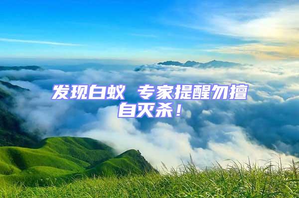 發(fā)現(xiàn)白蟻 專(zhuān)家提醒勿擅自滅殺!