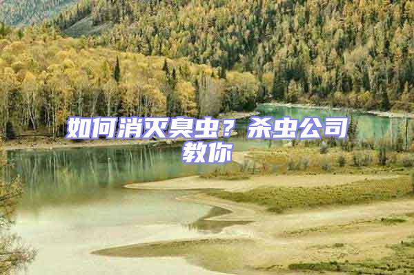 如何消滅臭蟲？殺蟲公司教你