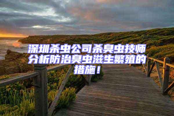 深圳殺蟲公司殺臭蟲技師分析防治臭蟲滋生繁殖的措施!