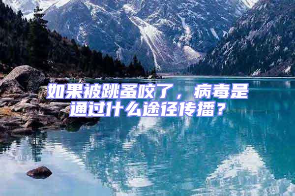 如果被跳蚤咬了,病毒是通過什么途徑傳播?