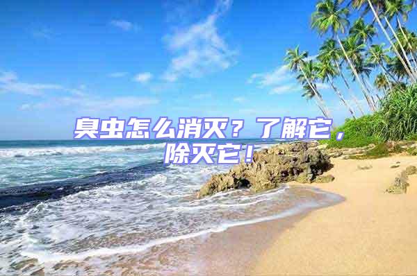 臭蟲(chóng)怎么消滅?了解它,除滅它!