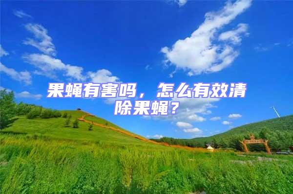 果蠅有害嗎，怎么有效清除果蠅？