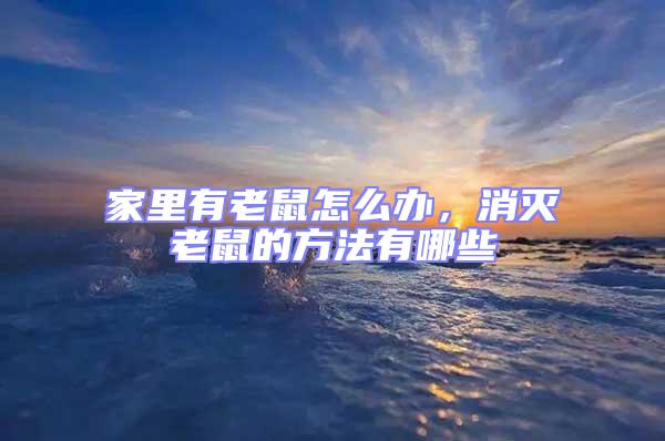 家里有老鼠怎么辦，消滅老鼠的方法有哪些
