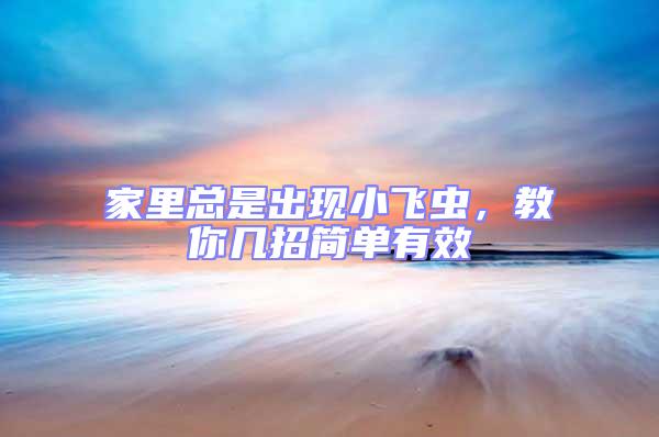 家里總是出現(xiàn)小飛蟲，教你幾招簡單有效