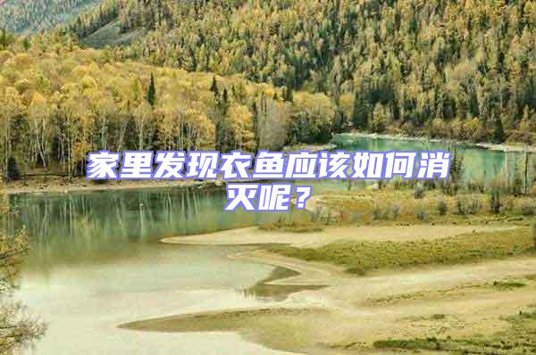 家里發(fā)現(xiàn)衣魚應(yīng)該如何消滅呢?