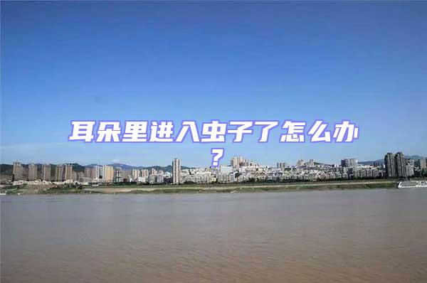 耳朵里進(jìn)入蟲子了怎么辦?
