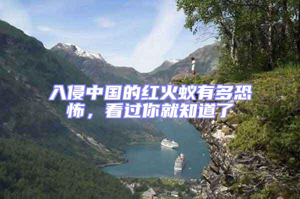 入侵中國的紅火蟻有多恐怖,看過你就知道了
