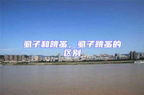 虱子和跳蚤,虱子跳蚤的區別