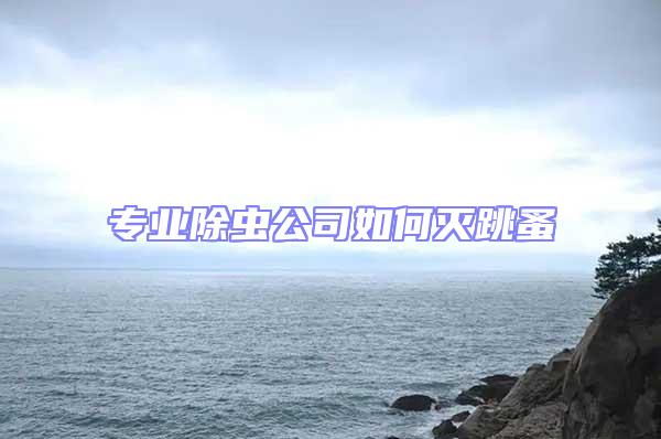 專(zhuān)業(yè)除蟲(chóng)公司如何滅跳蚤