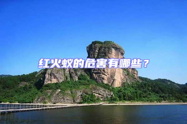 紅火蟻的危害有哪些？