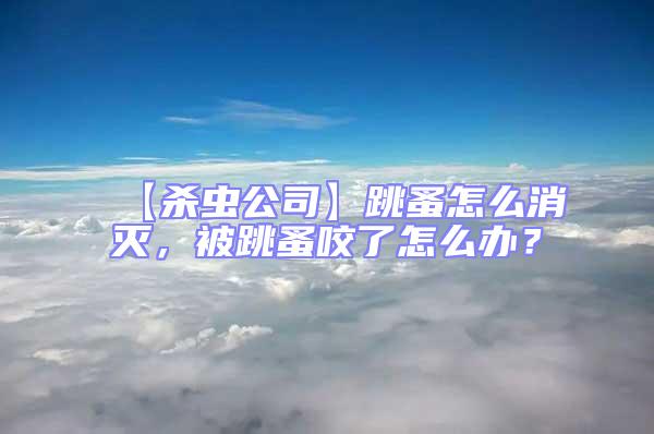 【殺蟲公司】跳蚤怎么消滅，被跳蚤咬了怎么辦？