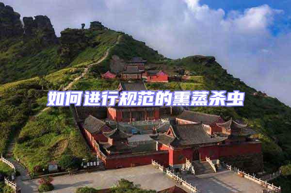 如何進(jìn)行規(guī)范的熏蒸殺蟲