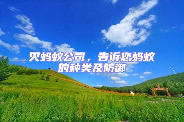 滅螞蟻公司，告訴您螞蟻的種類及防御